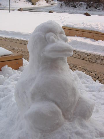 640x480/img_3343.jpg