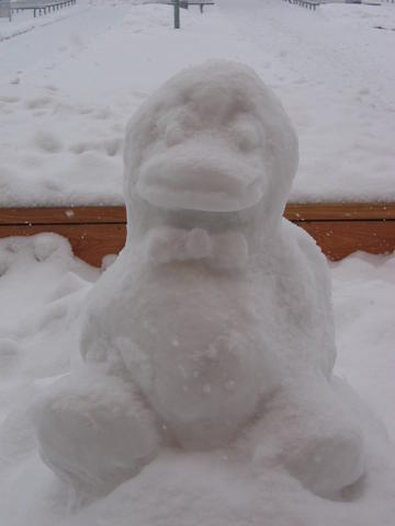 640x480/img_3437.jpg