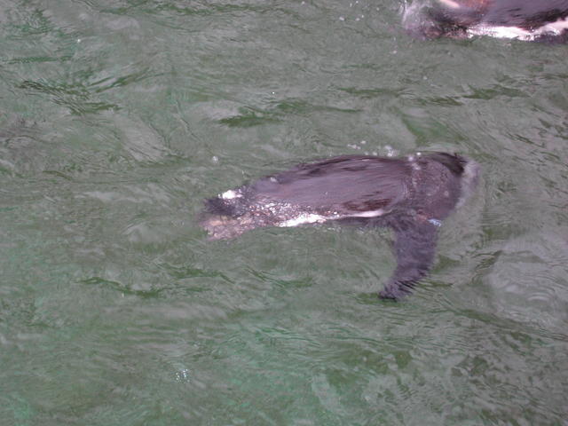 640x480/img_2564.jpg