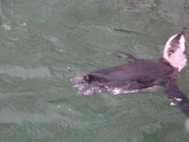 640x480/img_2565.jpg