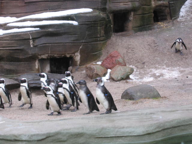 640x480/img_2575.jpg