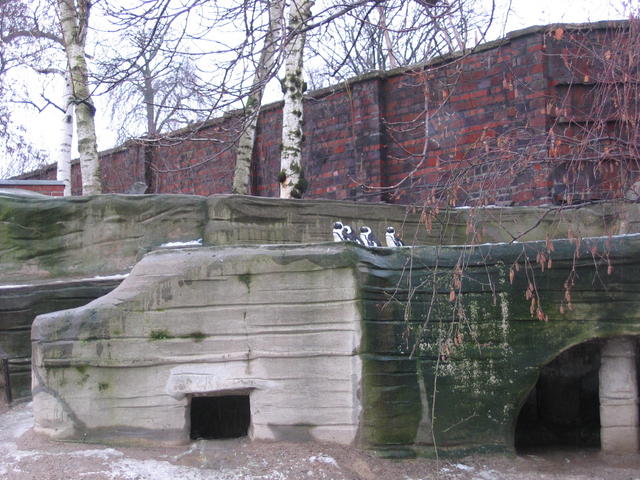 640x480/img_2577.jpg
