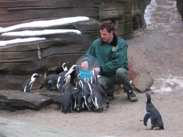 640x480/img_2584.jpg