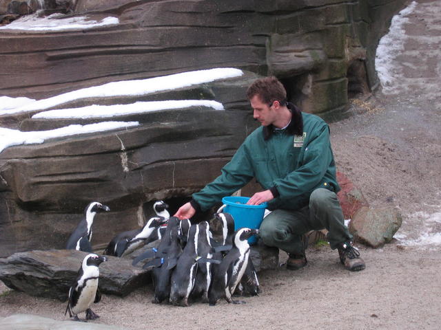 640x480/img_2585.jpg