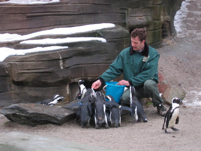640x480/img_2587.jpg