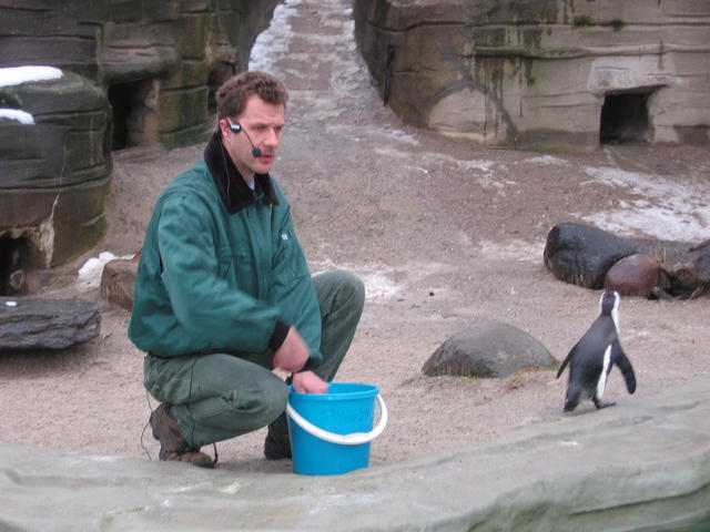 640x480/img_2589.jpg