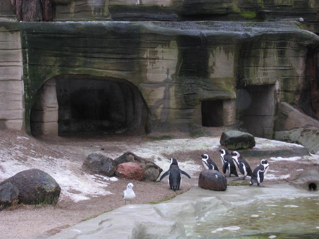640x480/img_2590.jpg