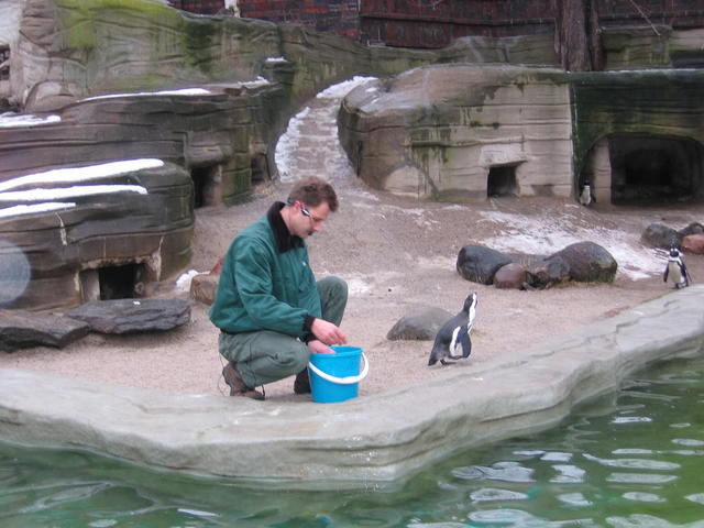 640x480/img_2592.jpg