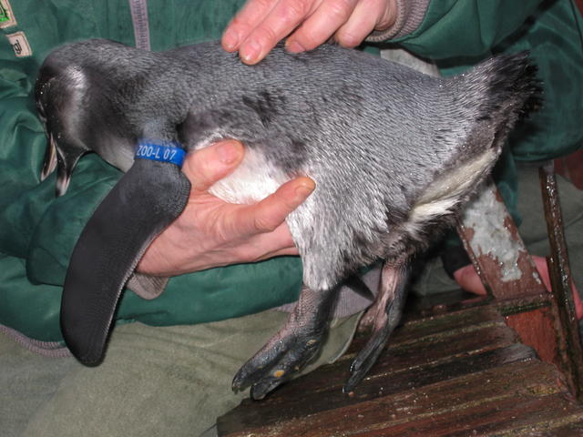 640x480/img_2599.jpg
