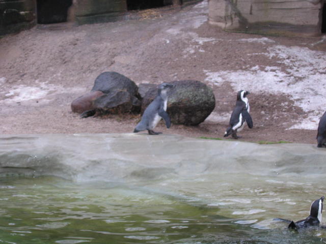 640x480/img_2608.jpg