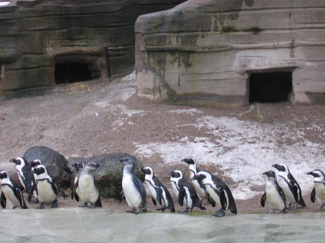 640x480/img_2609.jpg