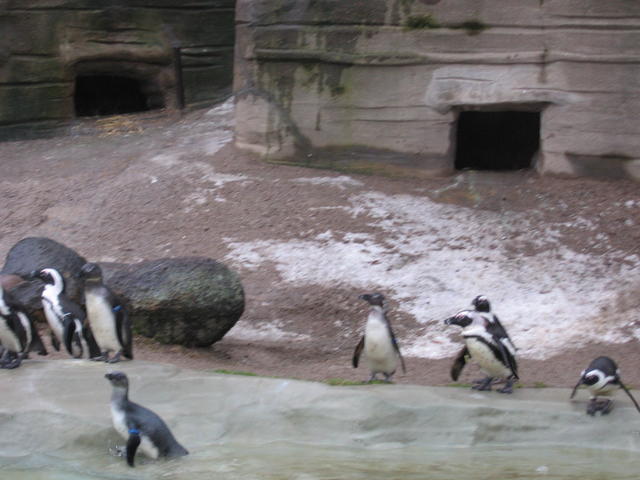 640x480/img_2610.jpg