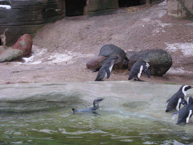 640x480/img_2611.jpg