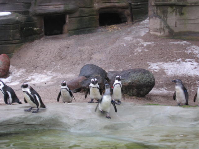 640x480/img_2613.jpg