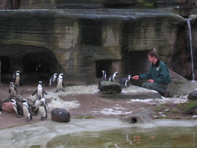 640x480/img_2616.jpg