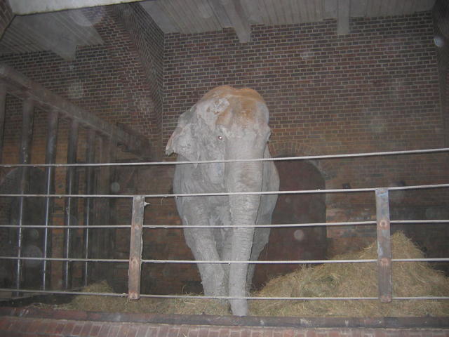 640x480/img_2624.jpg