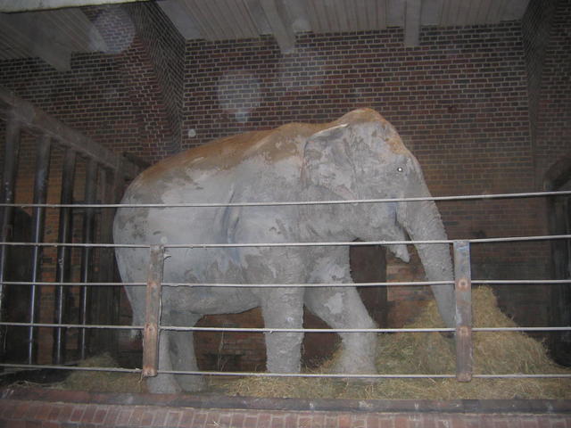 640x480/img_2625.jpg