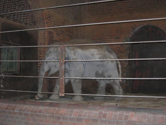 640x480/img_2628.jpg