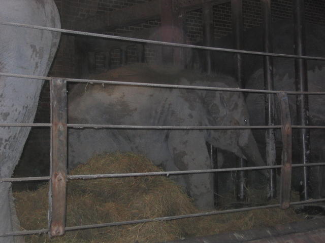 640x480/img_2631.jpg