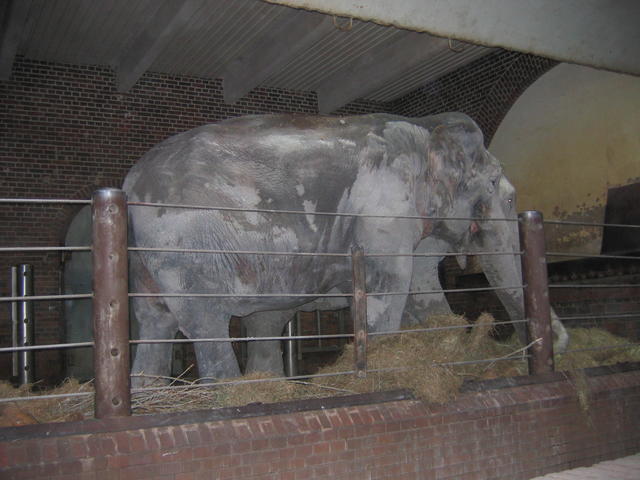 640x480/img_2637.jpg