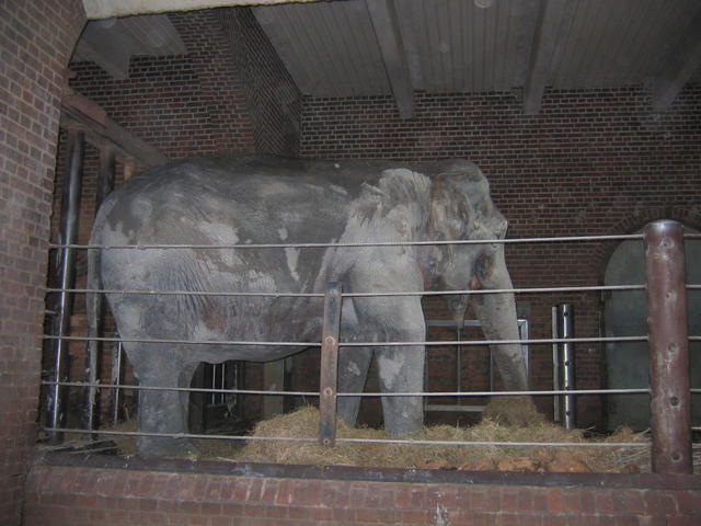 640x480/img_2638.jpg