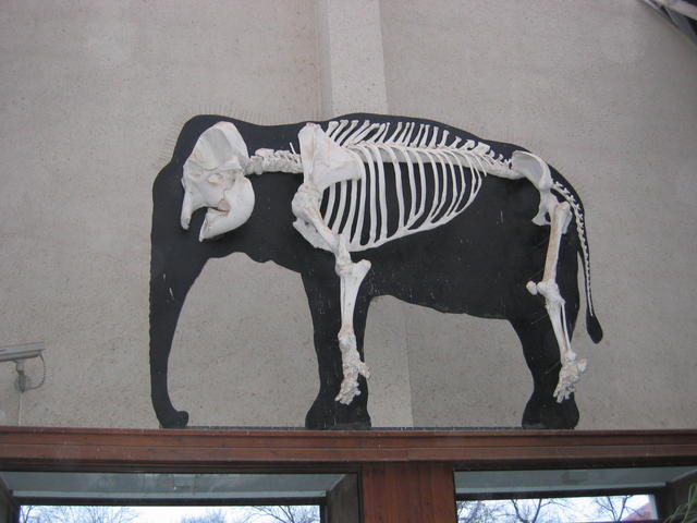 640x480/img_2639.jpg