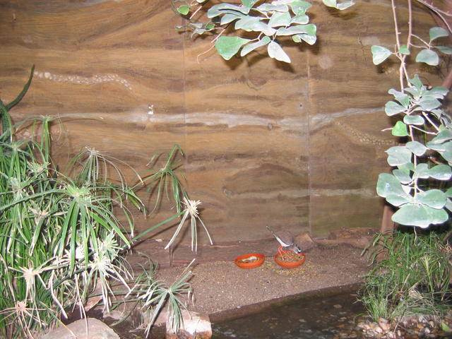 640x480/img_2640.jpg