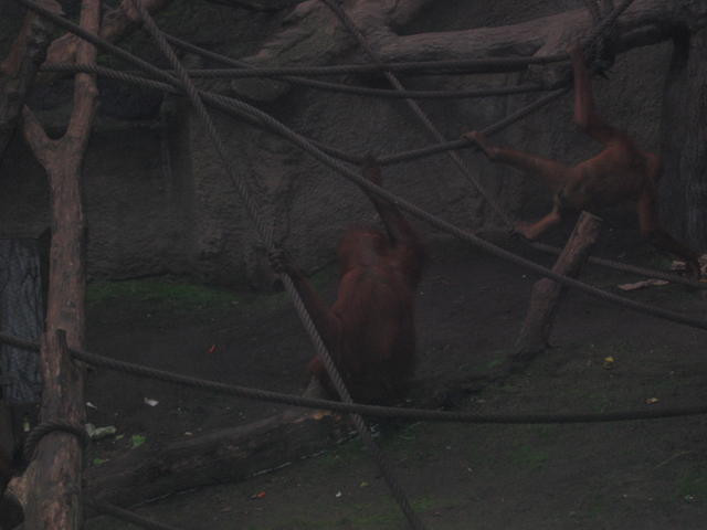 640x480/img_2645.jpg