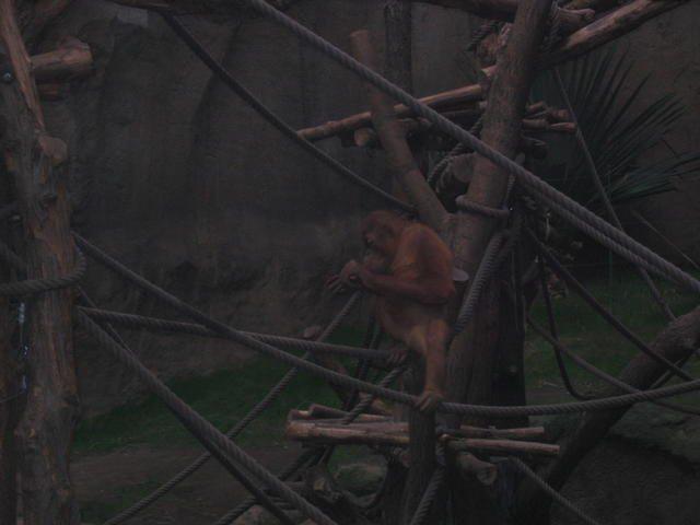 640x480/img_2648.jpg