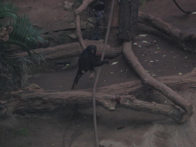640x480/img_2650.jpg