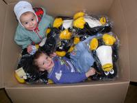 Kinder in der Pinguinkiste