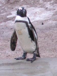 Tux im Jahr 2006