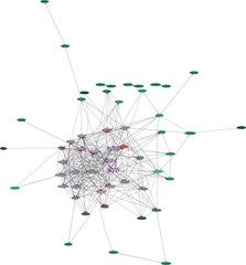 Web of Trust