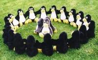 Pinguine auf der gruenen Wiese