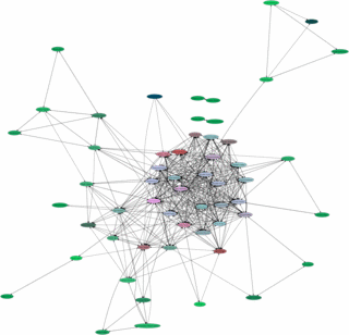 Web of Trust