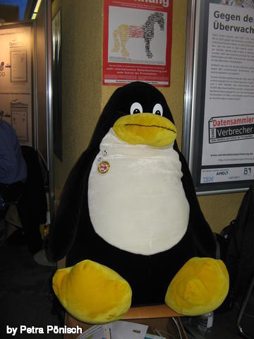640x480/img_8339.jpg