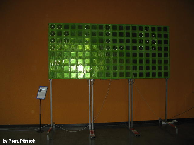 640x480/img_8352.jpg
