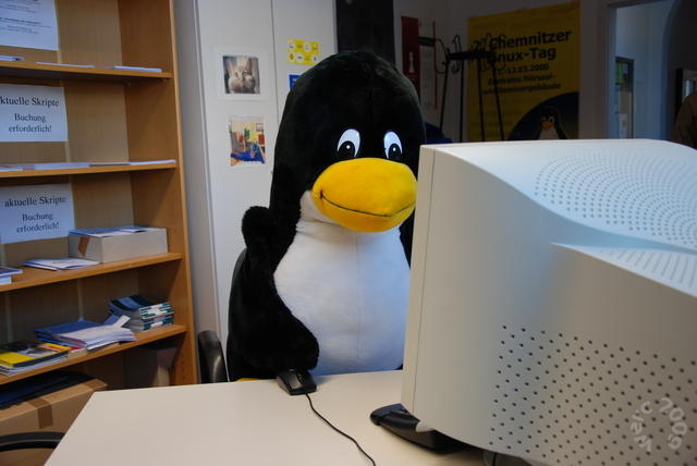 640x480/clt09_werc_00.JPG