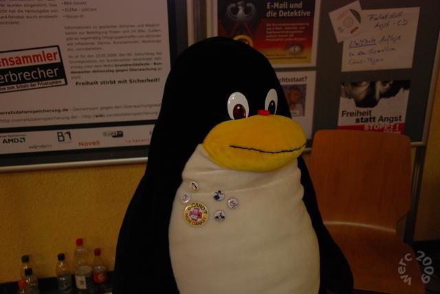 640x480/clt09_werc_43.JPG