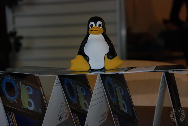 640x480/clt09_werc_70.JPG
