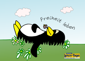 postcard: penguin lying on meadow - front