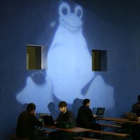 Penguin projection in 2007